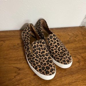 Leopard slide ons